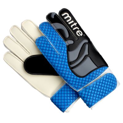 Fortress Goalie Glove Large Blue Statutory