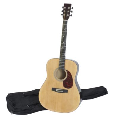 Easy Karaoke Falcon Acoustic Guitar Pack