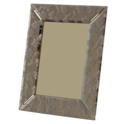 Statutory Tu Bronzed Mirrored Glass Patterned Frame