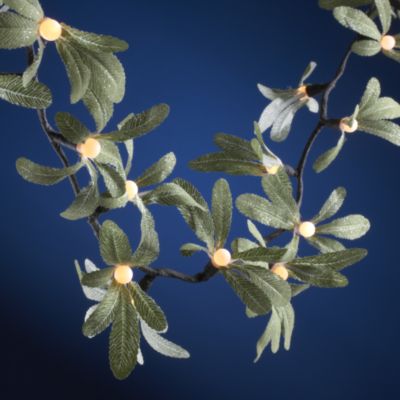 Unbranded Sainsburys Low Voltage 6ft Mistletoe