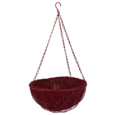 Sainsbury's Coloured Hanging Basket