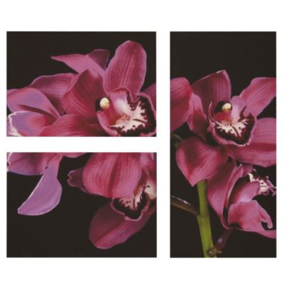 Large Pink Orchid Triple Canvas 75x90cm