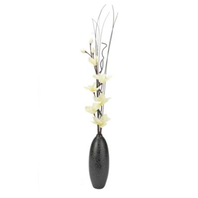 Orchid in Black Vase
