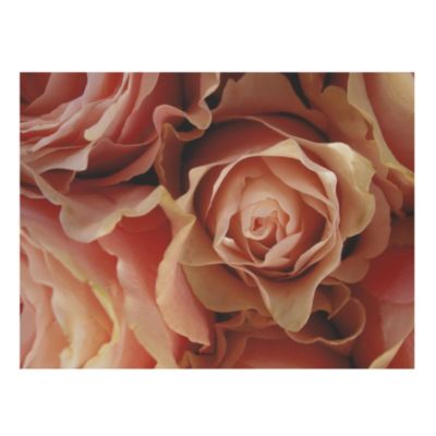 Pink Roses Canvas Print