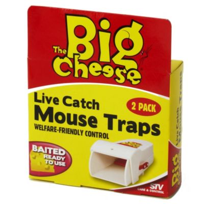 Gotcha! Live Catch Mouse Trap 2-pack
