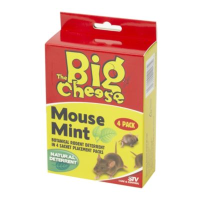 Gotcha! Mouse Mint