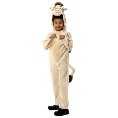 Camel Childrens Costume