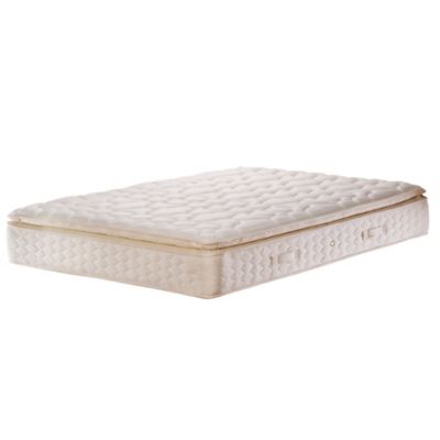 Sealy Gold Padbury Pillow Top Mattress