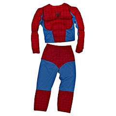 Statutory Spiderman Childrens Costume