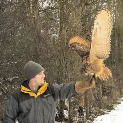 Introductory Falconry Experience for One