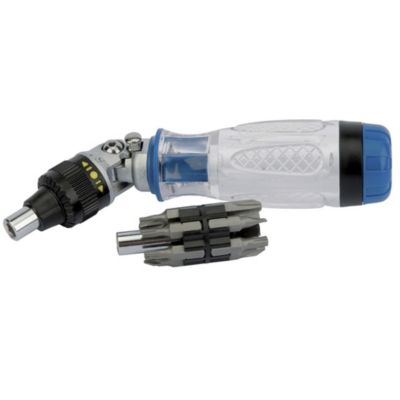 Draper 14-piece Jointed Ratchet Screwdriver and Bit Set