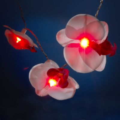 Sainsbury's Solar Orchid Lights