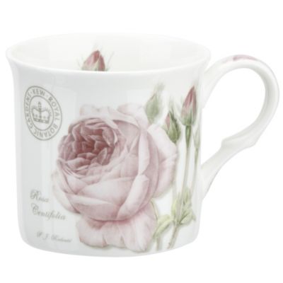 Kew Gardens Rose Centifolia Bone China Mug