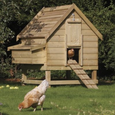Rowlinson Large Chicken Coop