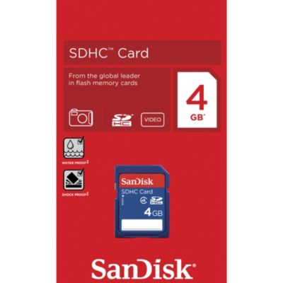 SanDisk 4GB SD Memory Card