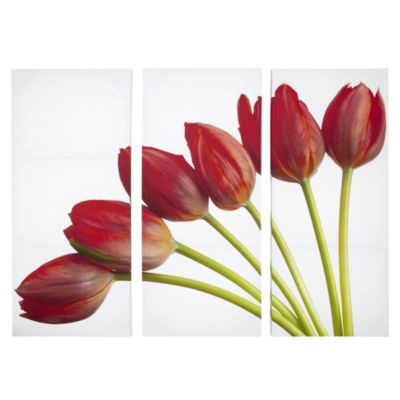 Large Red Tulips Set of 3 Wall Art 120x90cm