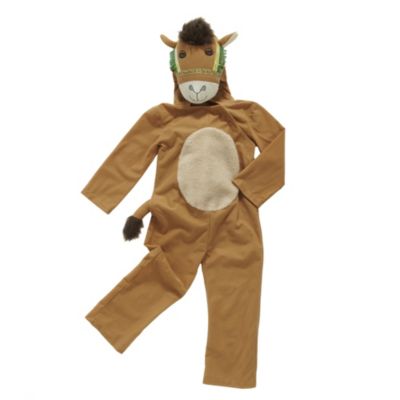 Camel Costume