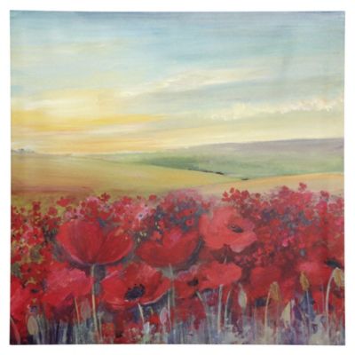 Poppy Fields Canvas Wall Art 48x48cm