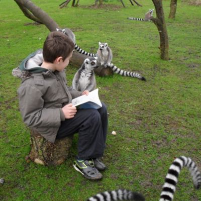 Animal Encounter at Flamingo Land Theme Park and Zoo for One Gift Experience