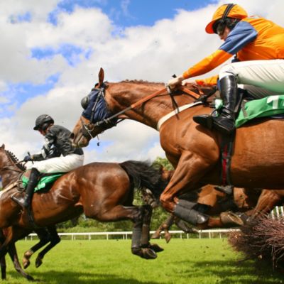 Winning Horse Racing Day for Two Gift Experience