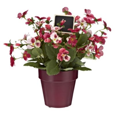 Tu Pink Pansy Pot