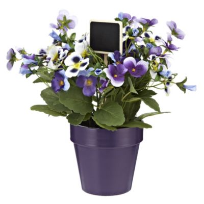 Tu Purple Pansy Pot