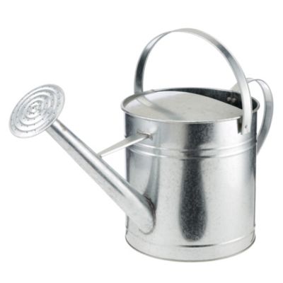 Sainsbury's Galvanised Steel Watering Can