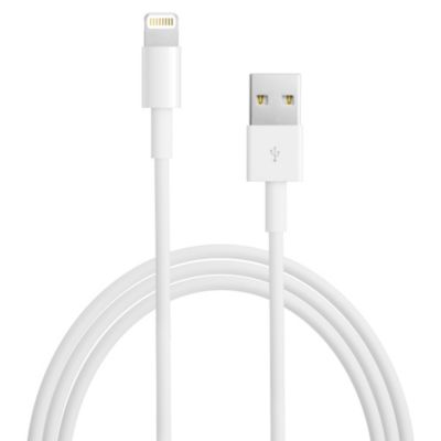 Apple Lightning to USB Cable