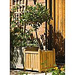 Rowlinson Square Planter