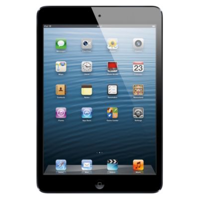iPad mini with Wi-Fi 16GB Black