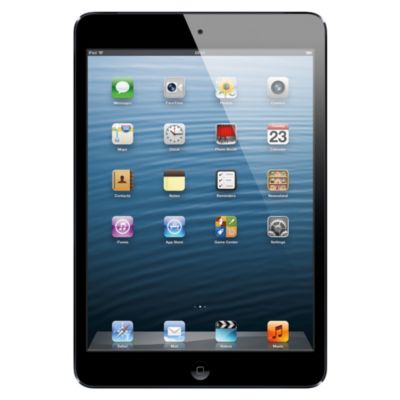 iPad mini with Wi-Fi + Cellular 16GB Black